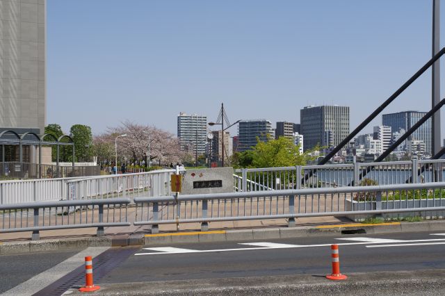 橋の北側から新川公園が続きます。