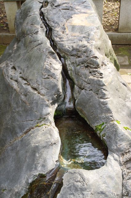 生々しい石に水が流れています。