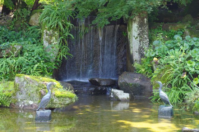 池に流れ落ちる小滝は涼し気。