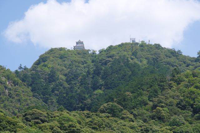 山頂には岐阜城が建っています。当時あの高さに建てられたことに驚きます。