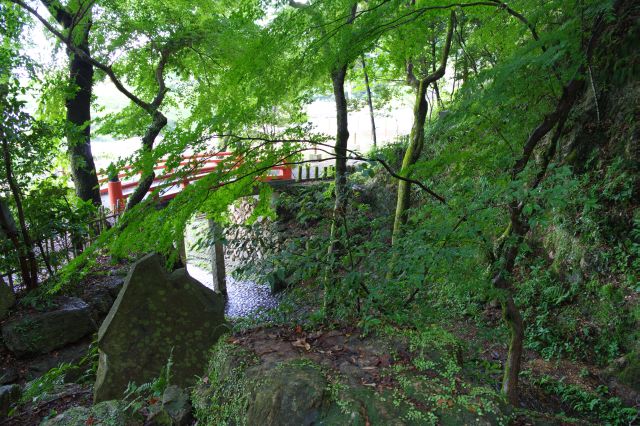 涼し気な緑の中の小川と朱色の橋。