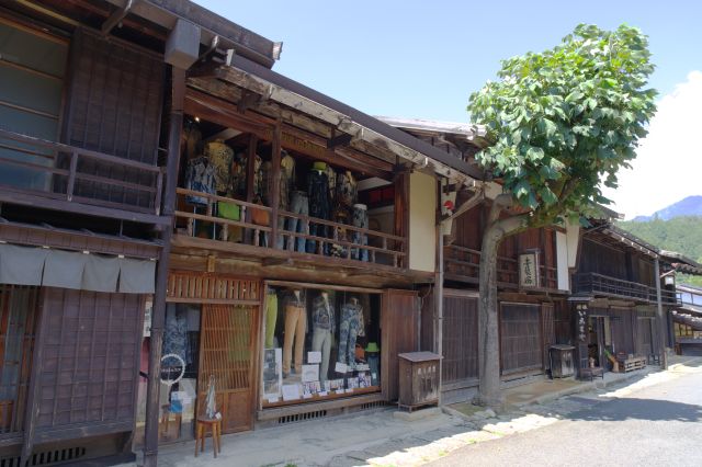 木の手前、OBARAJUNという衣料品店は服を着たマネキンが並ぶ独特な雰囲気。