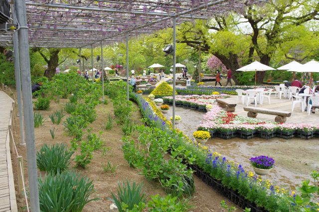 突き当りは様々なお花の中のテラス席。