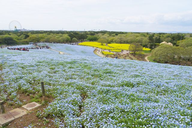 段々標高が高くなり景色も広がってきました。