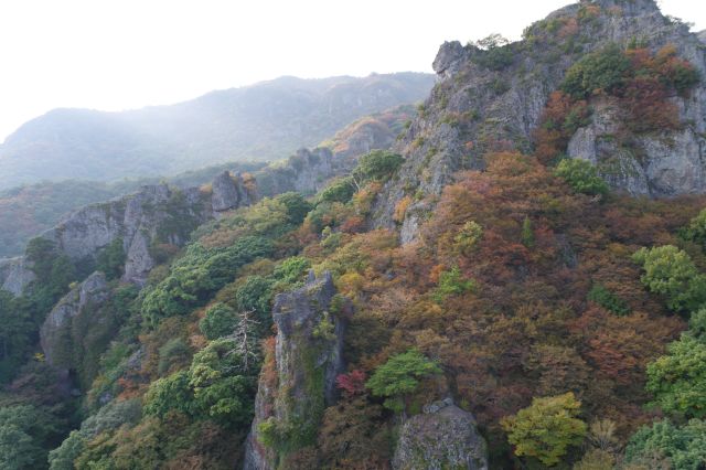 力強い岩場と紅葉が絡み合った光景。