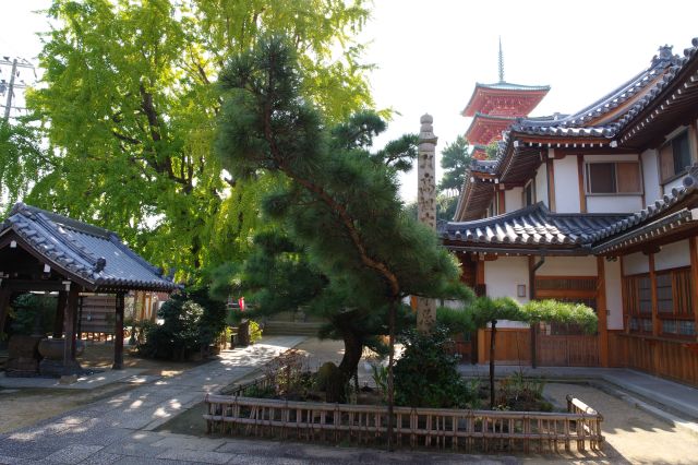 西光寺の写真ページ