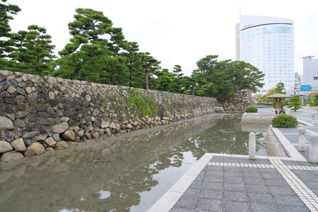 内側からも見た石垣と松の木々が続きます。