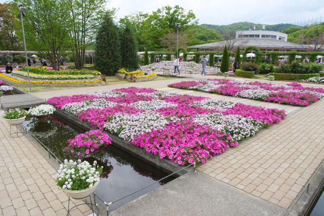 規則的な造形は日本庭園ともまた違う魅力があります。