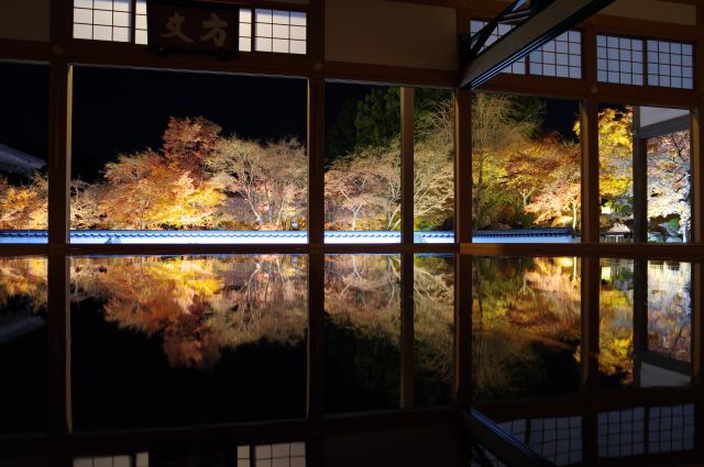 正面側へ、暗闇の中でライトアップされた輝かしい紅葉の木々がきれいに反射して幻想的な光景です。