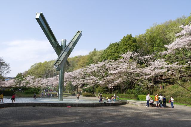 芹ヶ谷公園の桜の写真ページ