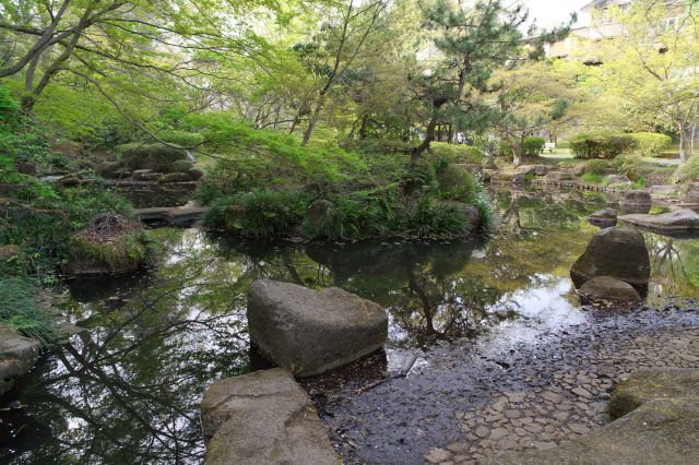 大池、日本庭園のような雰囲気です。