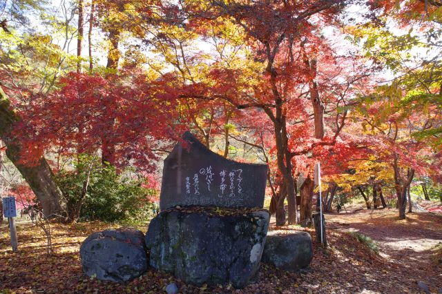 宮沢賢治は川沿いの虎岩を見て詠んだと言われる句碑『つくづくと「粋なもやうの博多帯」荒川ぎしの 片岩のいろ』。周囲は紅葉が溢れます。