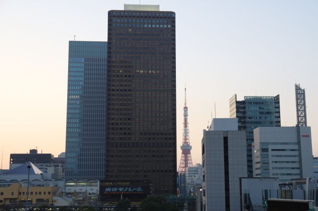 世界貿易センタービルや東京タワーが見えます。