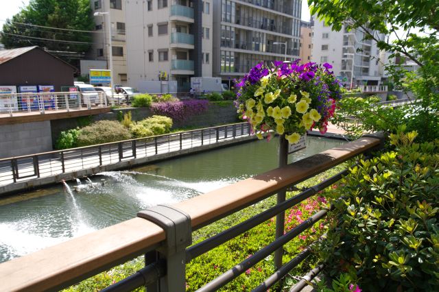 降りて道路を渡り川の方へ。植物や水の心地よさ。