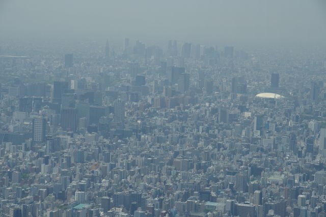 広大なビルの平原に東京ドームや新宿の超高層ビル群。