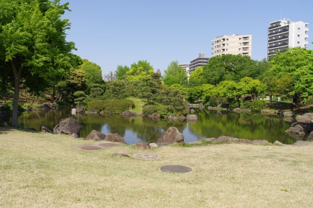 大名屋敷跡の池があります。