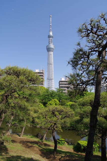 合間から見える東京スカイツリー。