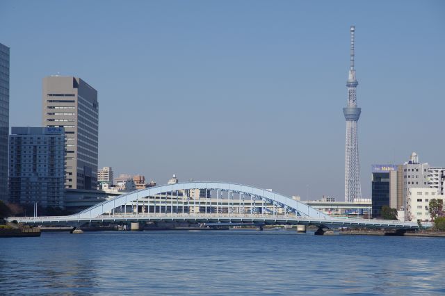 川の分岐地点の先に永代橋と東京スカイツリーが見えます。