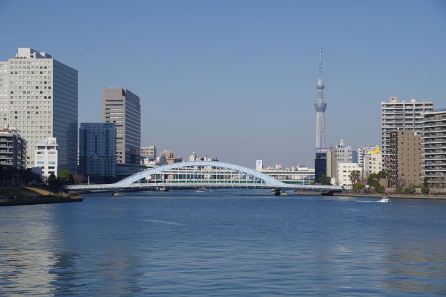 目を引く永代橋と東京スカイツリー。