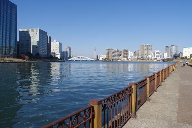 佃公園から中央大橋を過ぎると石川島公園に入ります。