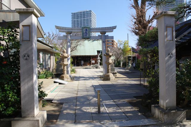 住宅街の路地の先、島の角に住吉神社があります。