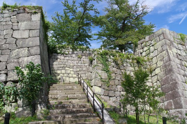桜之門跡、石垣がしっかり囲います。