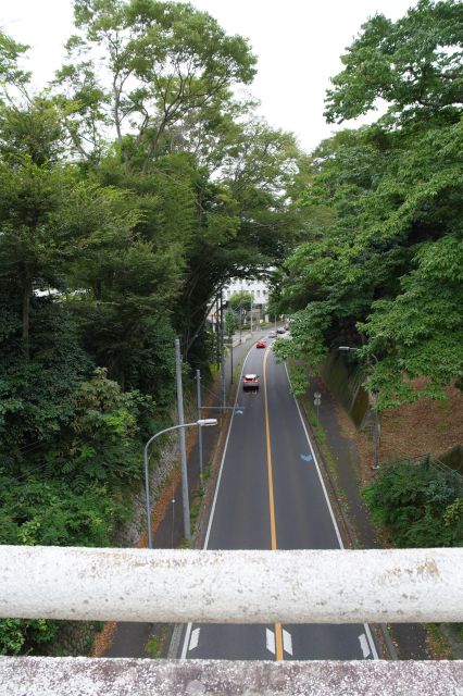 橋の左側、三の丸から二の丸へは空堀が道路になっています。