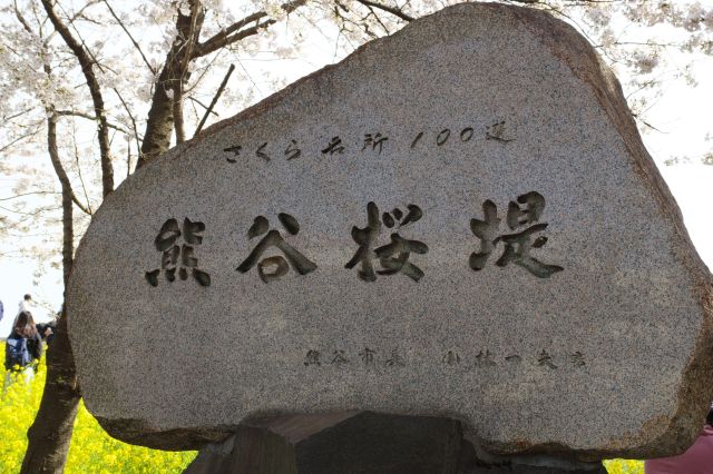 さくら名所100選、熊谷桜堤の石碑。