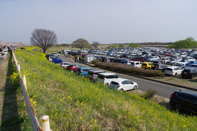 河原の駐車場には沢山の車。