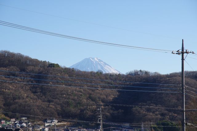 富士山が見られました。