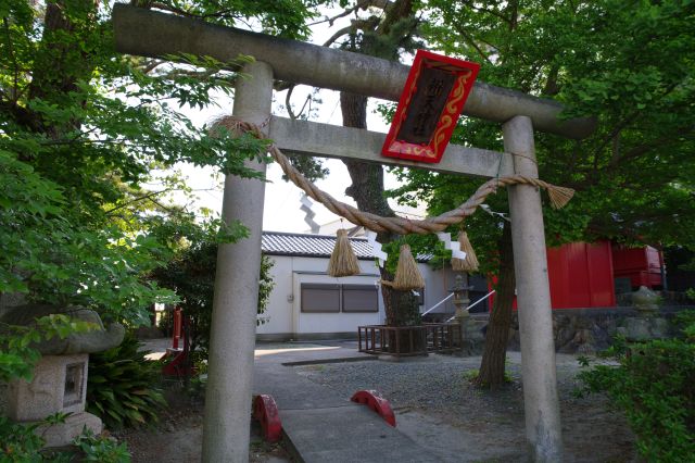 風が強く新幹線の振動が定期的に来る弁天島、マンションに囲われた一角に辨天神社があります。