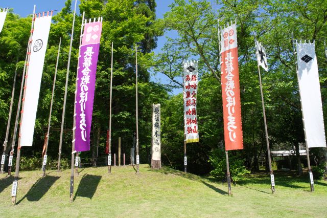 中央では徳川軍と武田軍の旗が対峙。