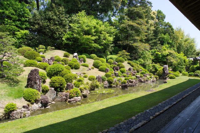 本堂北側には国の名勝の龍潭寺庭園があります。