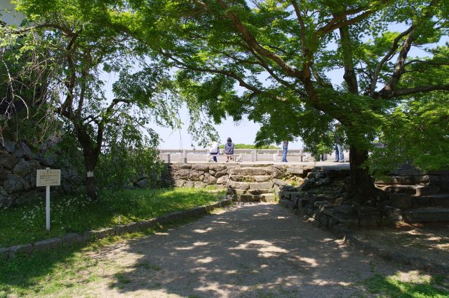 鉄櫓の豊川側には武具所跡があり展望台のようになっています。