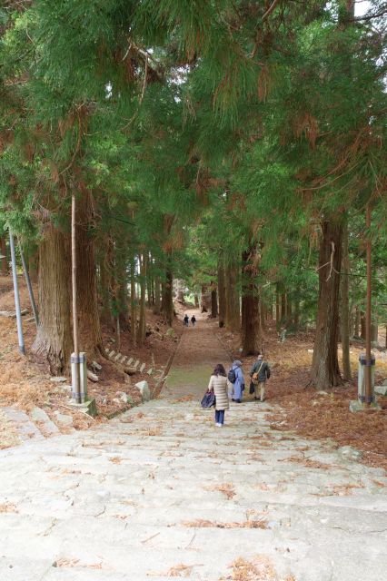 森林に囲まれた表参道の階段と坂道。