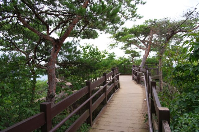 松の木々が囲う橋を進みます。
