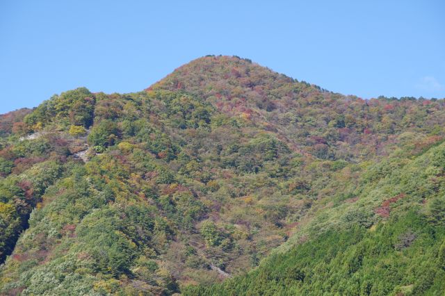 山の上の方に紅葉が見られます。