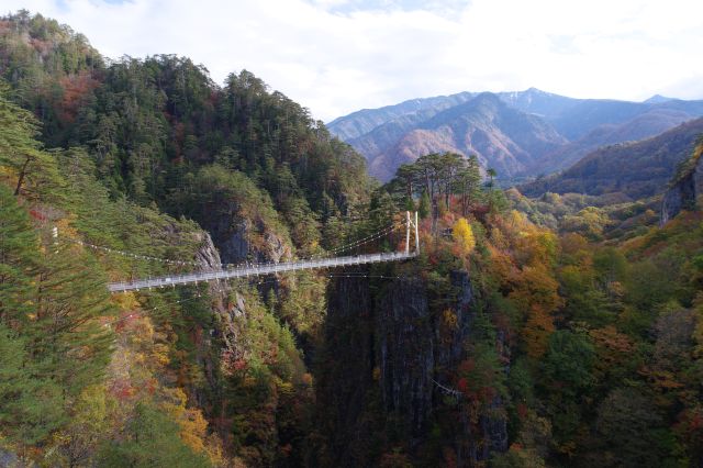 紅葉の峡谷と吊り橋。