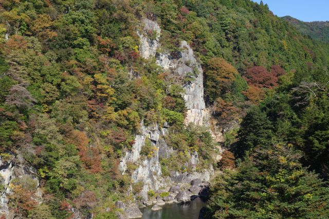 特に高さ100mの楯岩はとてもダイナミックです。