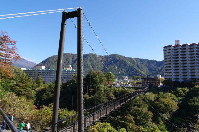 鬼怒楯岩大吊橋の写真ページ
