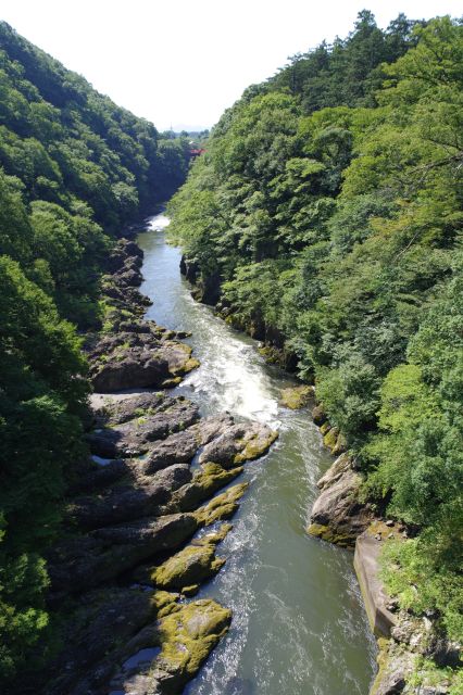 下流方面、渡良瀬川が作る緑に覆われた深い渓谷が美しい光景です。