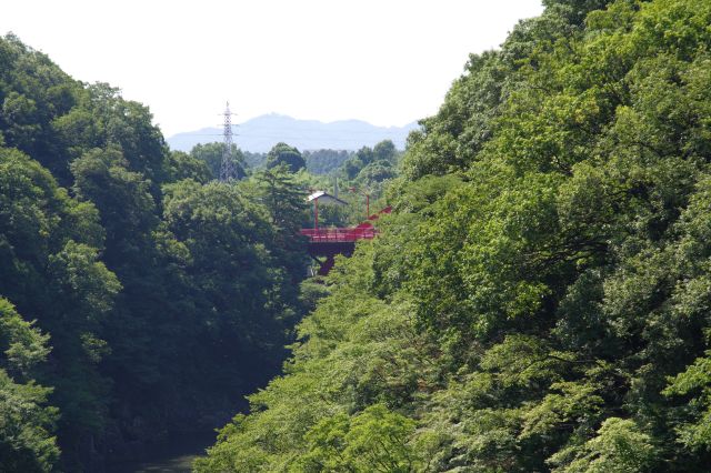 奥には赤い高津戸橋が少し見えます。