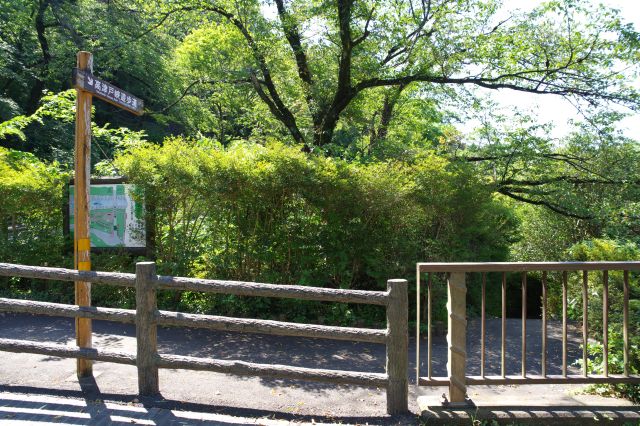 左岸側は高津戸峡の遊歩道があります。