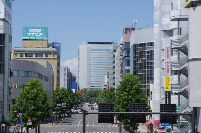 一際大きい高崎市役所のビルが見えます、