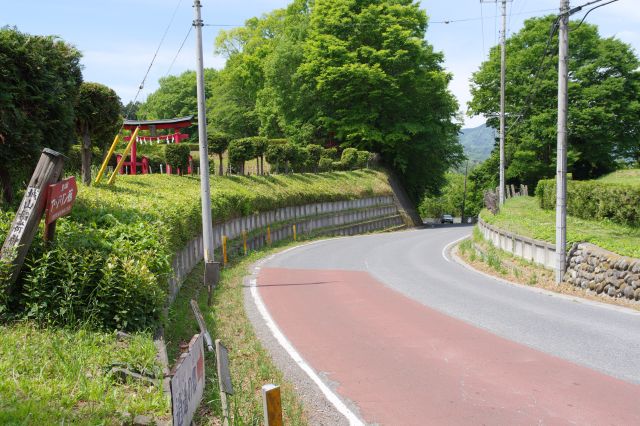 一旦道路に出ます。カーブして坂を下る道。右は本曲輪で後で行きます。