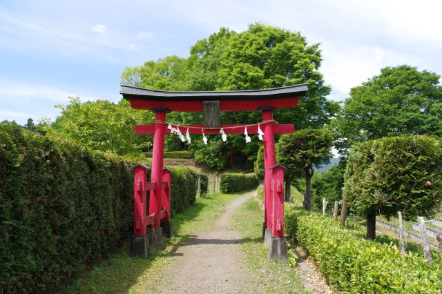 二の曲輪方面へ、鳥居をくぐります。