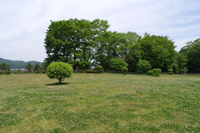 生垣の先にまた広い空間があります。