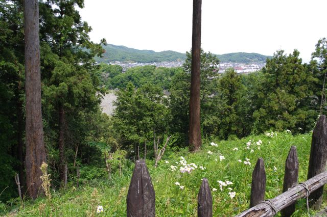 柵がある斜面越しに荒川の向かいの寄居の町が少し見えます。川の音も聞こえて少し涼しい風が吹きます。さっきの道路が下を通っています。