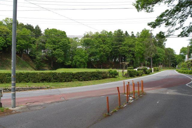 道路分岐前に戻りました。渡った先が本曲輪です。