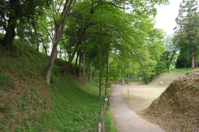 道路分岐前から戻ります。